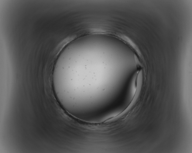 X0000086070385200704132045