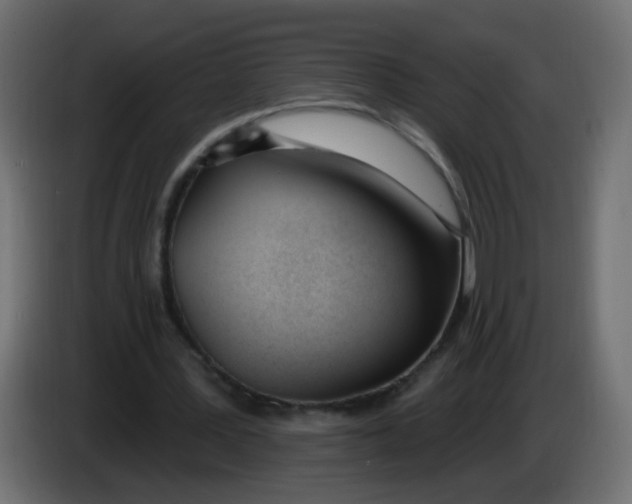 X0000086070387200704132045