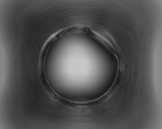 X0000086070388200704132045