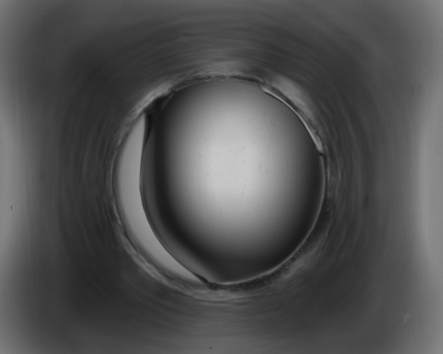 X0000086070389200704132045