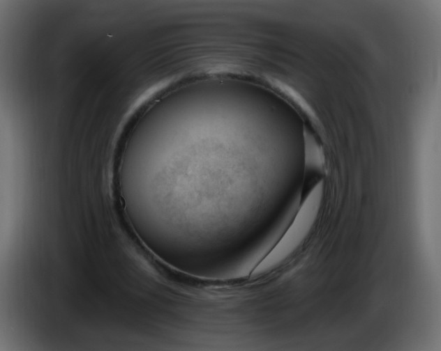 X0000086070391200704132045