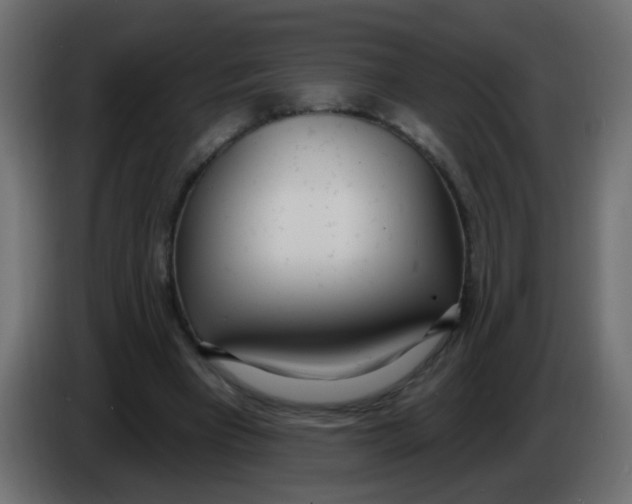 X0000086070393200704132045