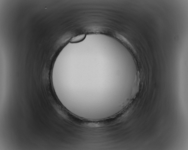 X0000086070394200704132045