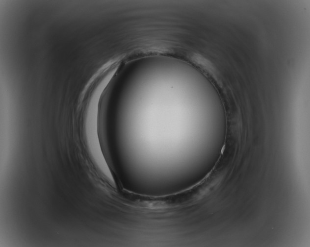 X0000086070395200704132045