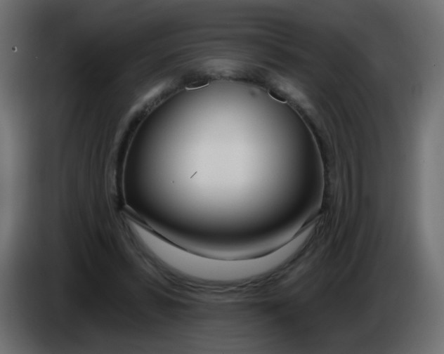 X0000086070399200704132045