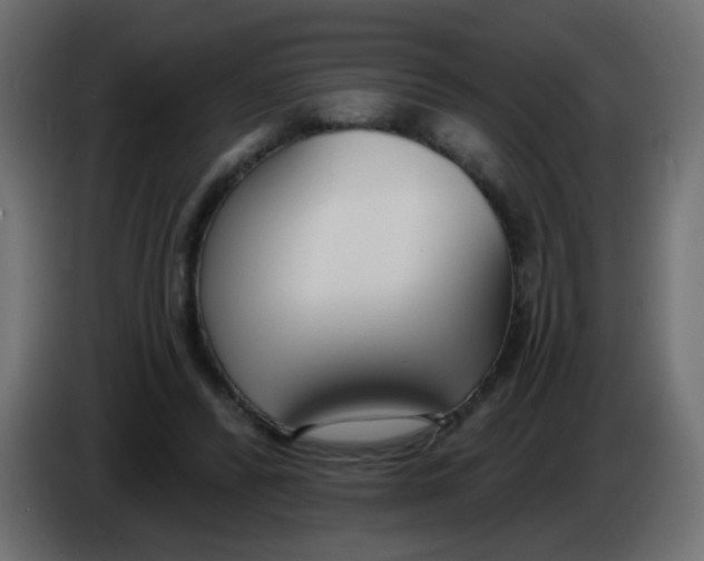 X0000086070400200704132045