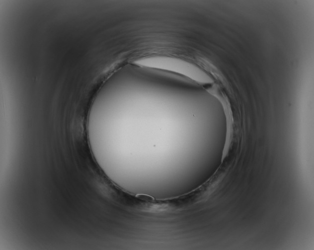 X0000086070401200704132045