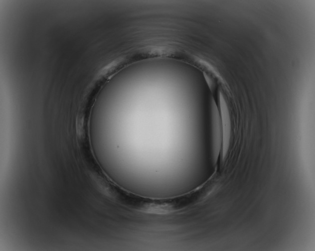 X0000086070403200704132045