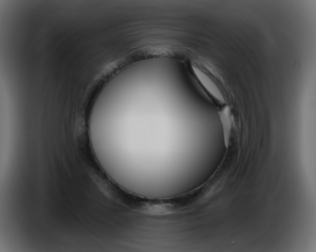 X0000086070407200704132045