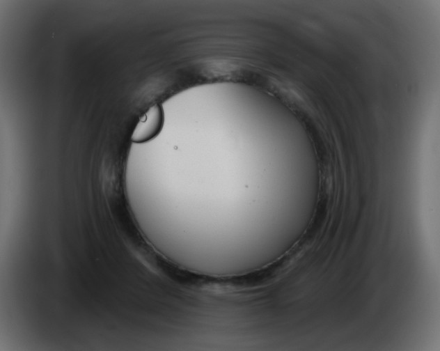 X0000086070408200704132045