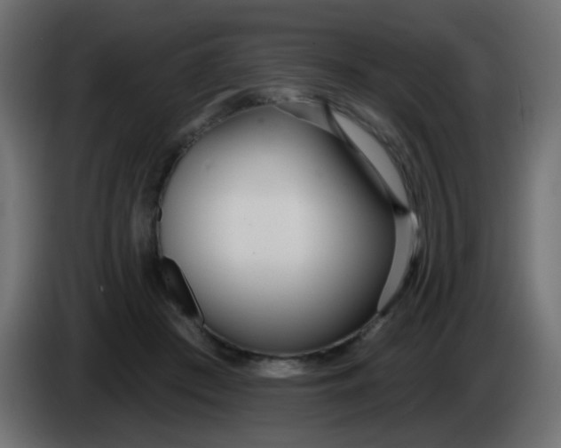 X0000086070409200704132045