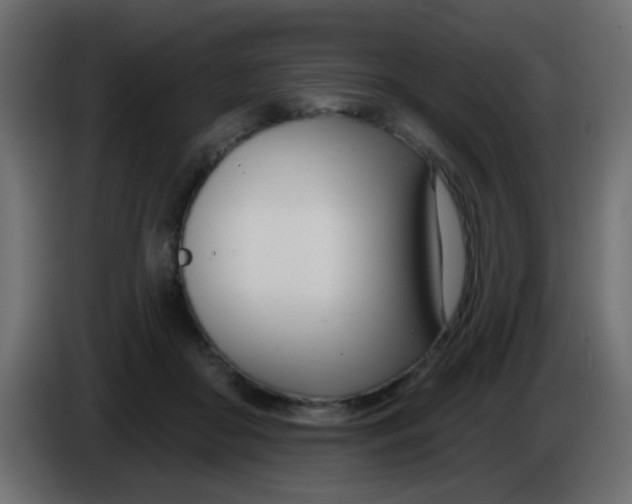 X0000086070410200704132045