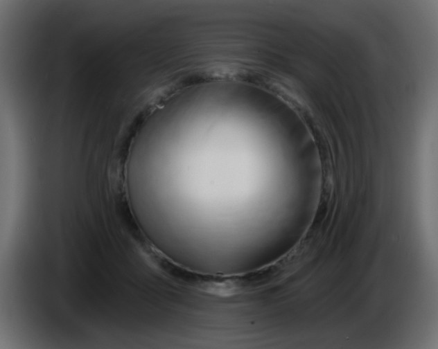 X0000086070411200704132045