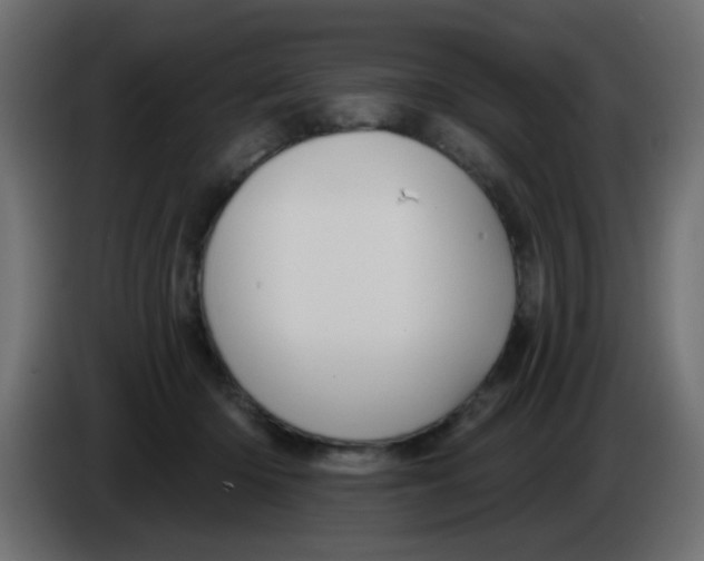 X0000086070414200704132045
