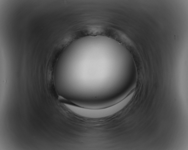 X0000086070417200704132045