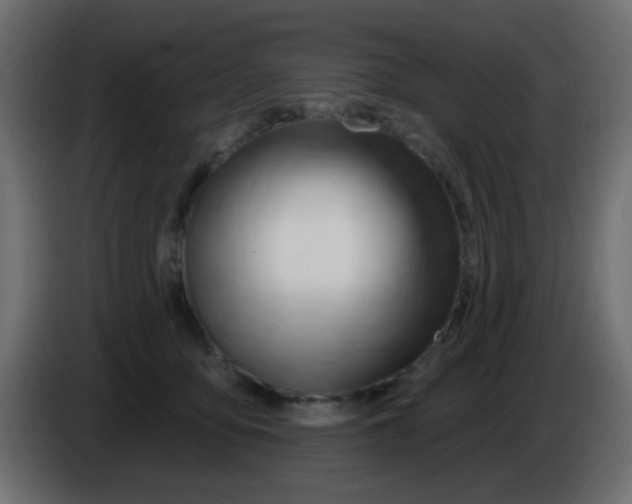 X0000086070419200704132044
