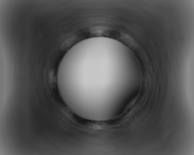 X0000086070420200704132044