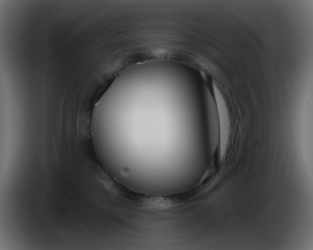 X0000086070421200704132044