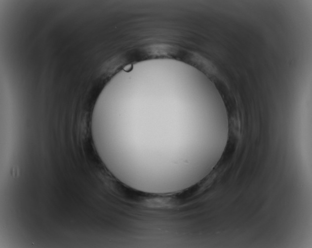 X0000086070422200704132044