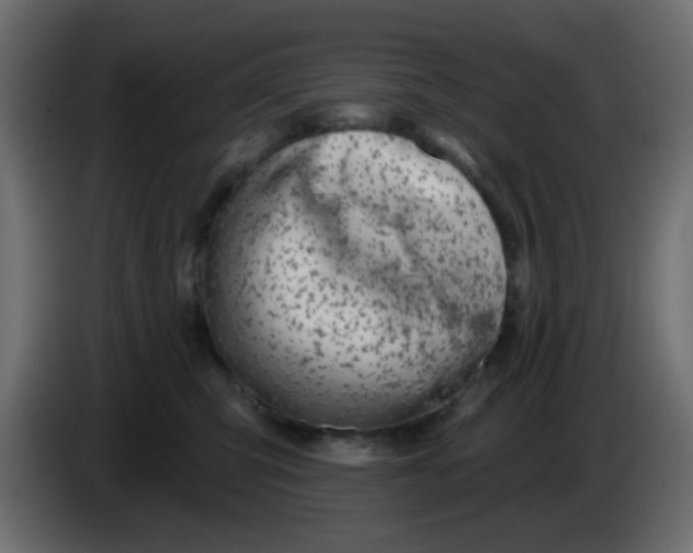 X0000086070423200704132044