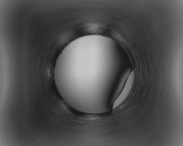 X0000086070424200704132044