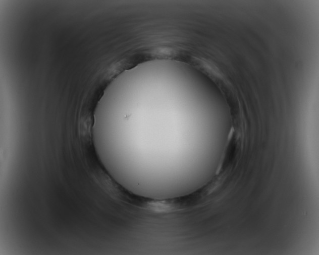 X0000086070425200704132044
