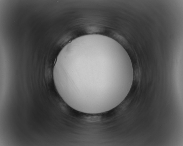 X0000086070426200704132044