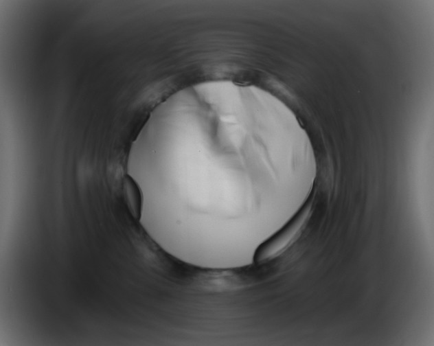 X0000086070427200704132044