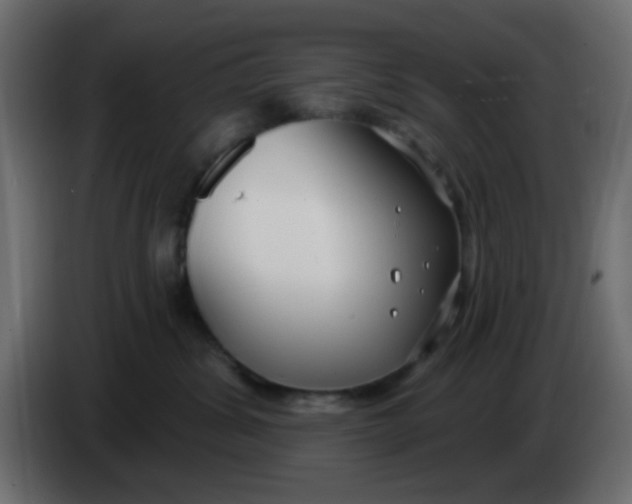 X0000086070428200704132044