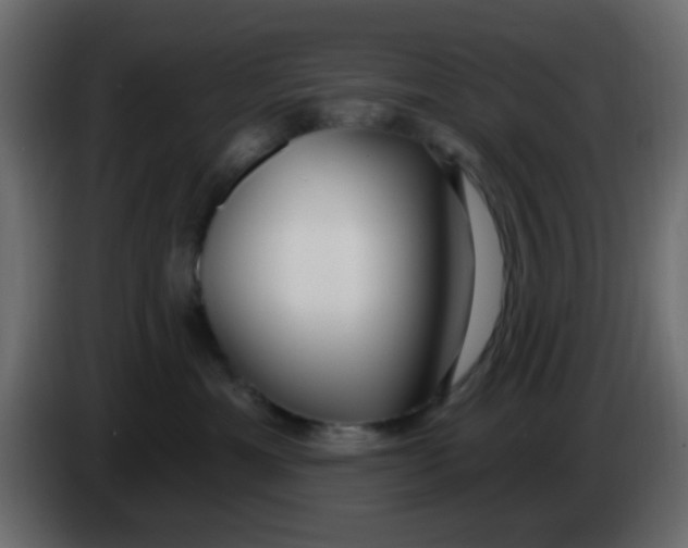 X0000086070429200704132044