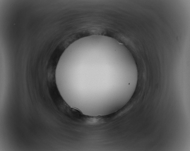X0000086070432200704132044