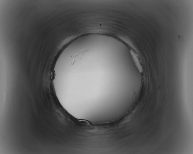 X0000086070434200704132044