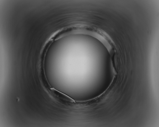 X0000086070436200704132044