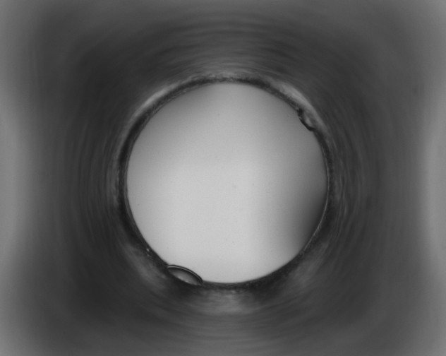 X0000086070439200704132044