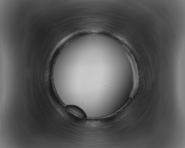 X0000086070440200704132044