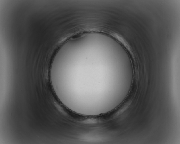 X0000086070441200704132044