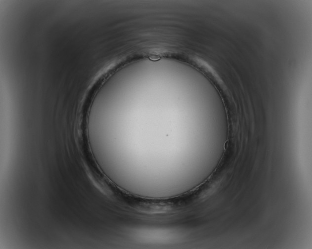 X0000086070443200704132044