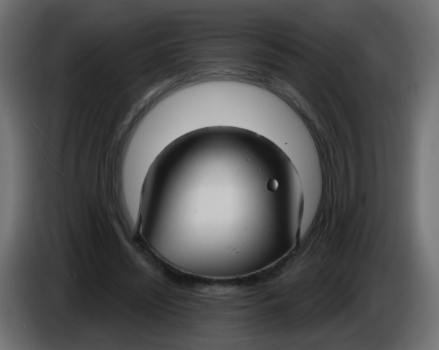 X0000086070444200704132044