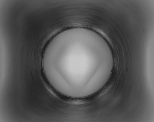 X0000086070445200704132044