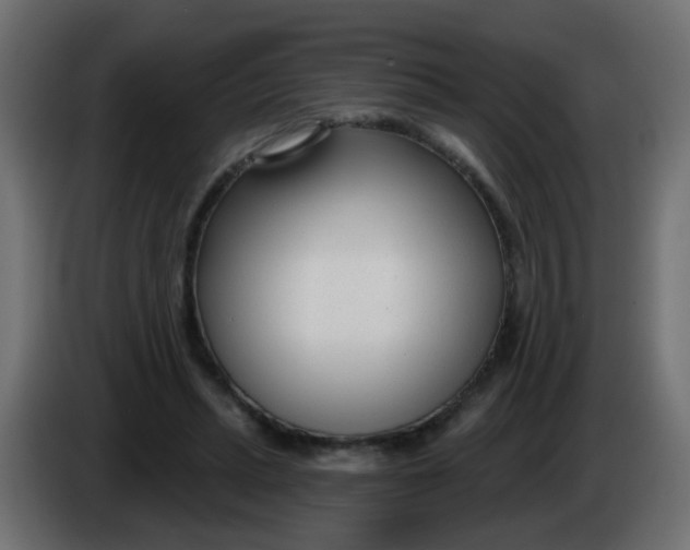 X0000086070447200704132044