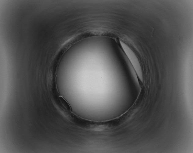 X0000086070448200704132044
