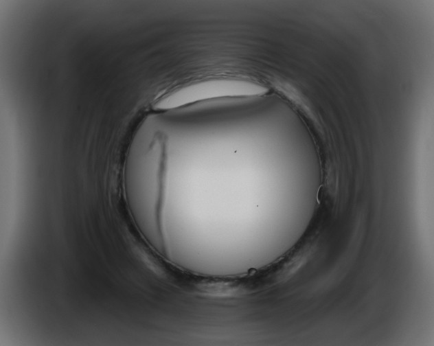 X0000086070449200704132044
