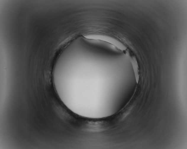 X0000086070450200704132044