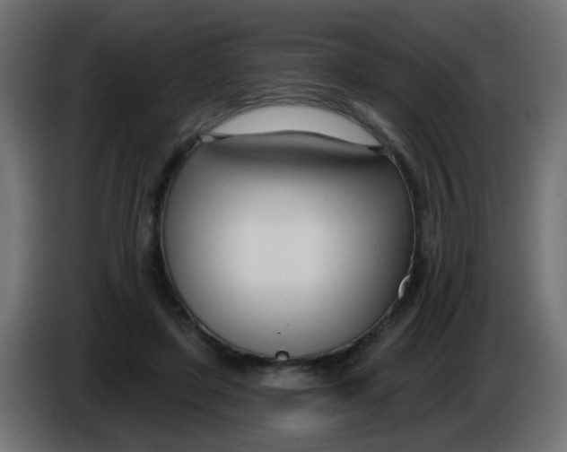 X0000086070451200704132044