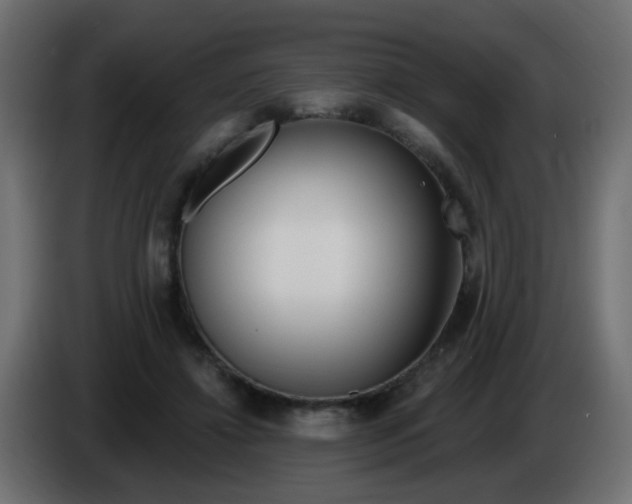 X0000086070452200704132044