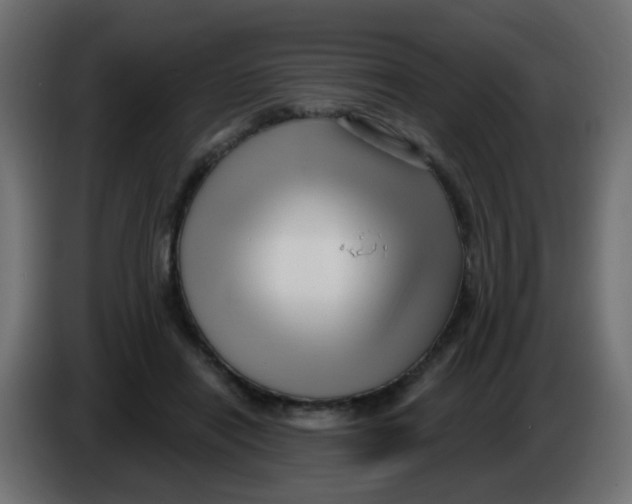 X0000086070454200704132044