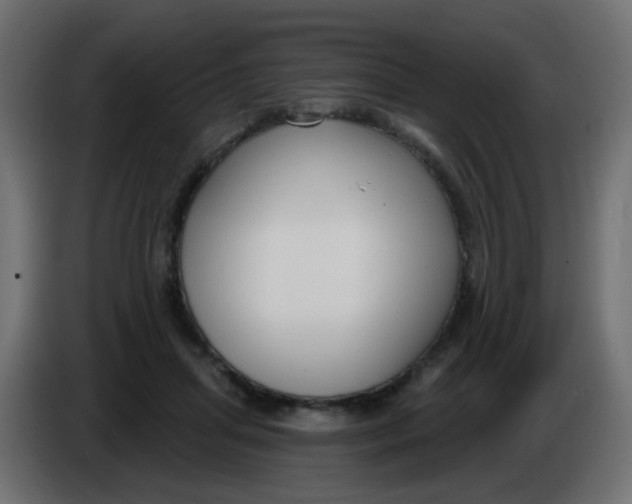 X0000086070455200704132044