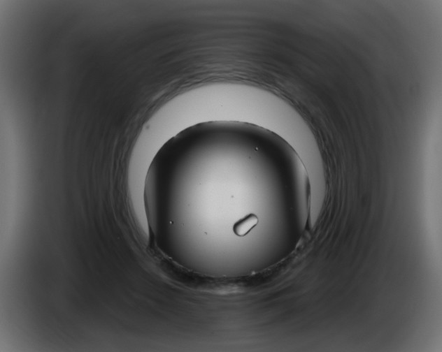 X0000086070456200704132044