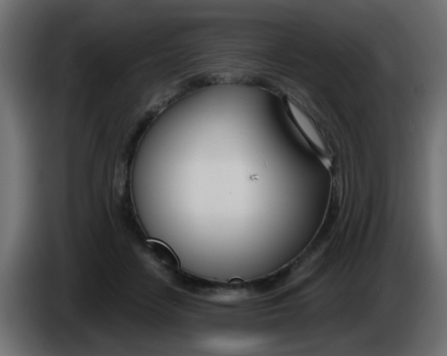 X0000086070458200704132044