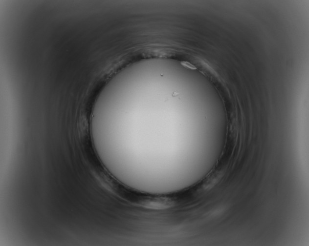 X0000086070459200704132044